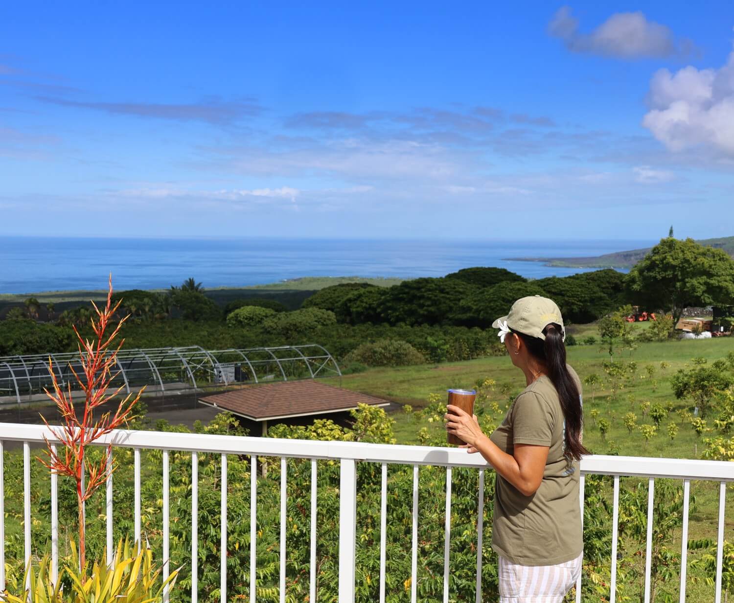 Bay View Farm