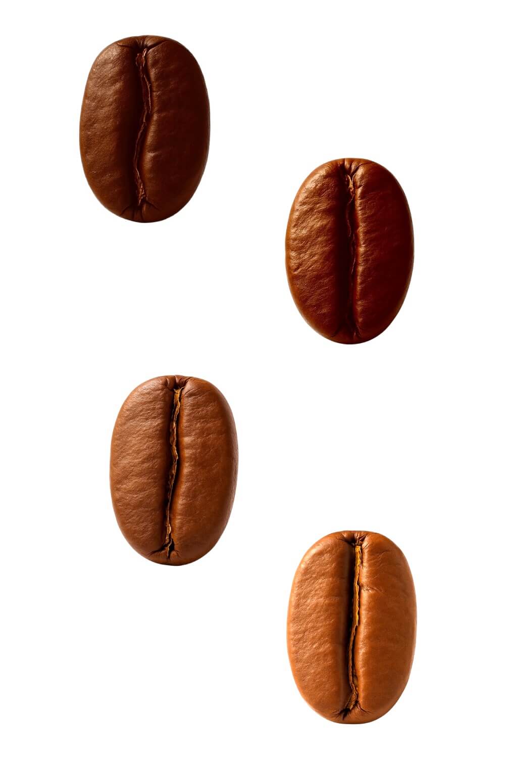 Bay View Farm Kona Coffee Tasting Menu