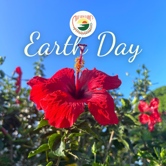 Earth Day in Kona: Celebrating the Flora and Coffee of Bay View Farm