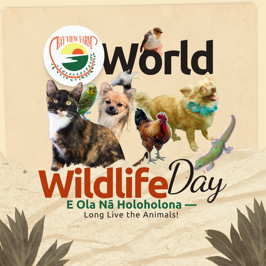 Celebrating World Wildlife Day with Our Bay View Farm ʻOhana