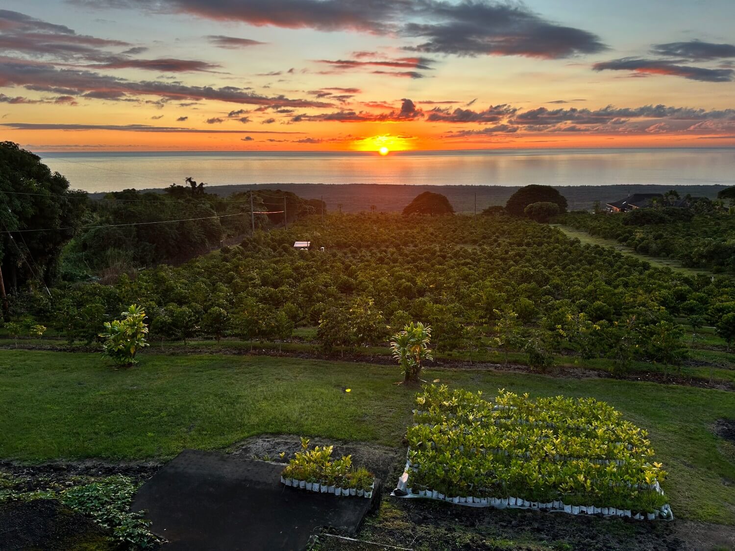 Bay View Farm Book Your Tour