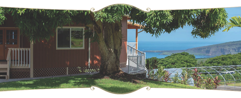 bay view farm outdoor 